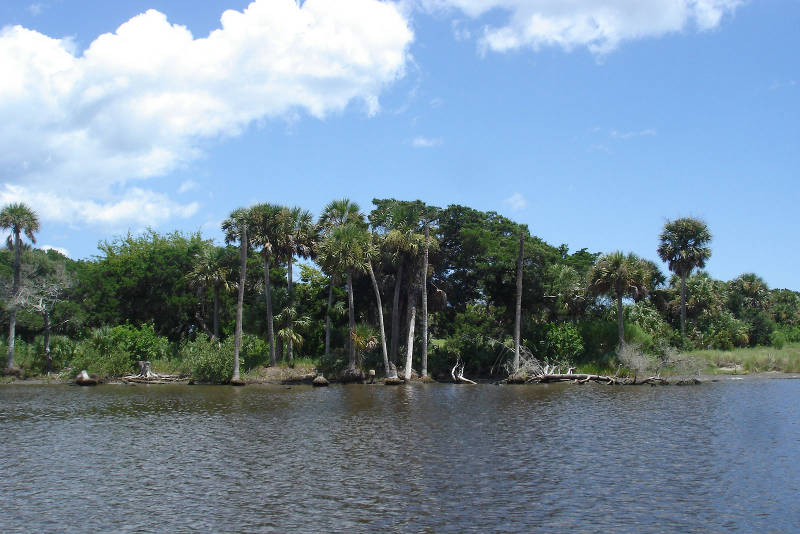 As we cruise north on the Intercoastal Waterway, we pass stretches of undeveloped Florida wilderness, and get a glimpse of Florida the way it once was seen by the Frenchmen seeking a new life here.