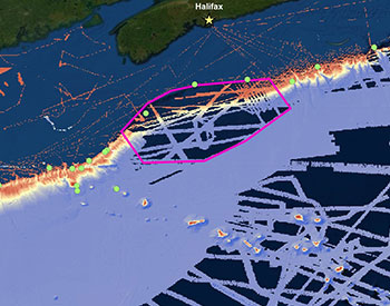 Why Are We Exploring the Deep Water Habitats off the Northeastern U.S. and Canada?