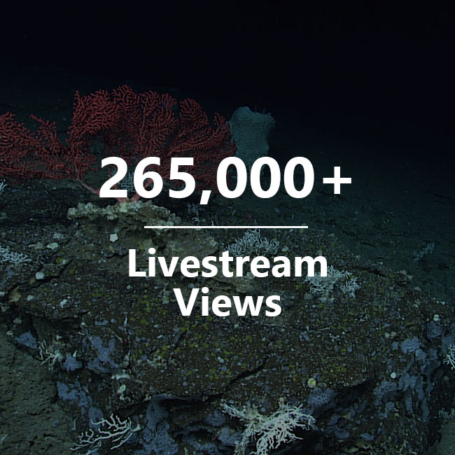 Stats for NOAA Ocean Exploration Livestream Views