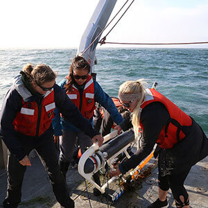 Retrieving a Porpoise From The EM