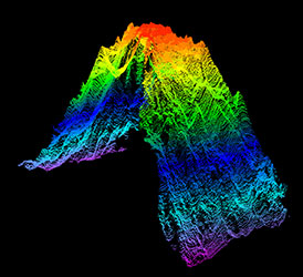 A bathymetric map of a seamount.