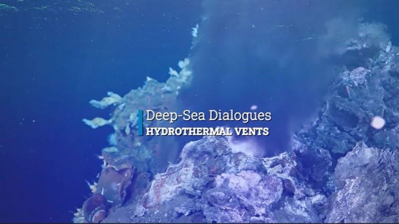 Deep Sea Dialogues Video