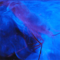 Shrimp spewing bioluminescence. Image courtesy of Bioluminescence 2009 Expedition, NOAA/OER Shrimp spewing bioluminescence. Image courtesy of Bioluminescence 2009 Expedition, NOAA/OER