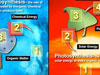 Chemosynthesis vs. Photosynthesis