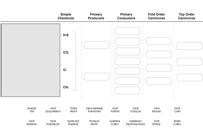 To help simplify and understand the production and distribution of food within a community, scientists often construct a food web, a diagram that assigns species to generalized, interlinked feeding levels. Each layer of the web represents a particular role in the movement of organic energy through the community.