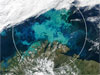 Currents and Marine Life