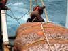 Credit: National Oceanic and Atmospheric Administration/Department of Commerce; Photo Captain Robert A. Pawlowski, NOAA Corps

