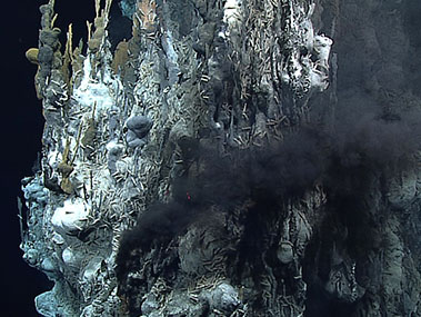 Lesson 5: Chemosynthesis and Hydrothermal Vent Life