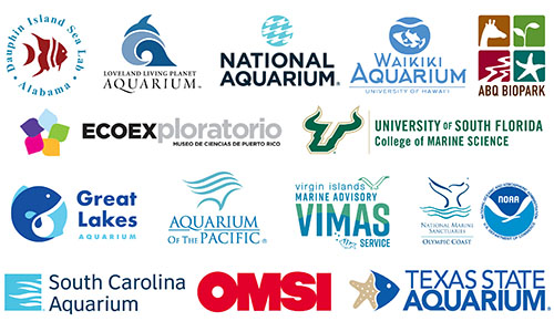 Education Alliance Partnerships