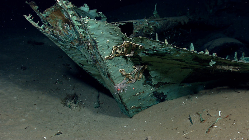 Monterrey Wreck (Site 15577): Catalyzing Research on an Early 19th Century Wooden Shipwreck Discovered in the Gulf of Mexico