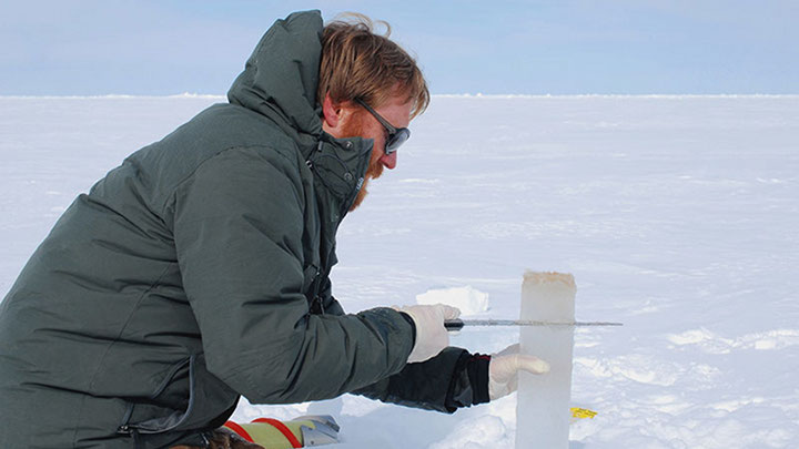 Navigating the Hidden Microbial Network in Arctic Sea Ice