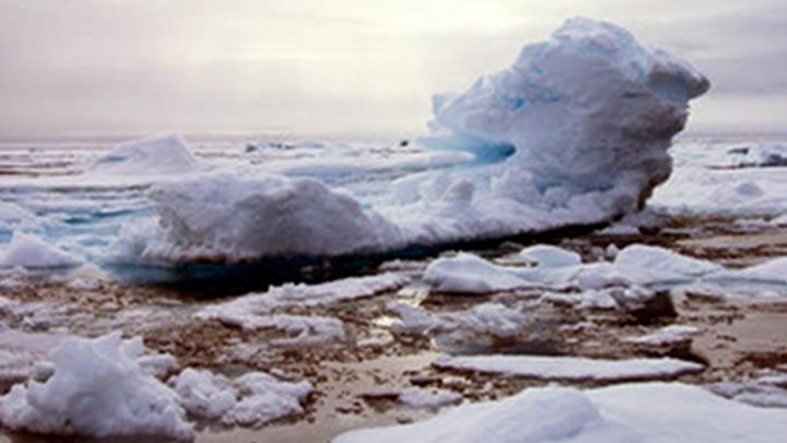 Russian-American Long-term Census of the Arctic (RUSALCA) 2004