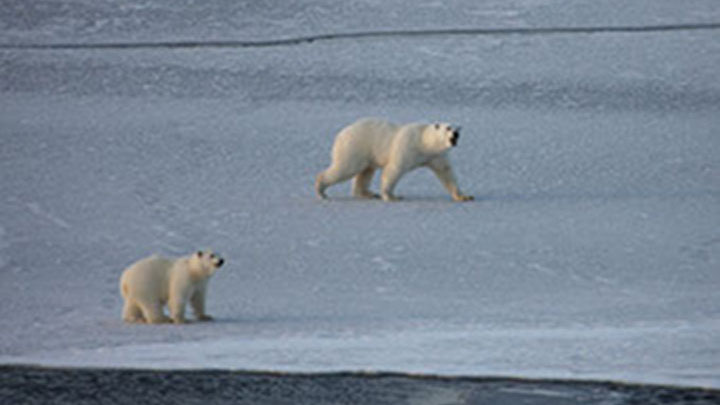 Hidden Ocean 2016: The Chukchi Borderlands