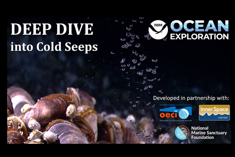 Deep dive into cold seeps video thumbnail