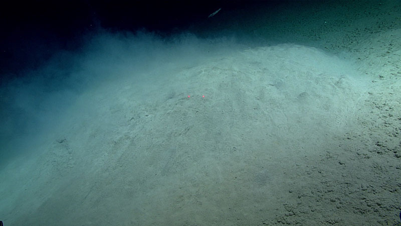 This low relief mound, several meters across, may be underlain by methane hydrate. Fluid that was denser than seawater flowed out of holes in the surface of the mound. Red laser dots are separated by 10 centimeters (3.94 inches).