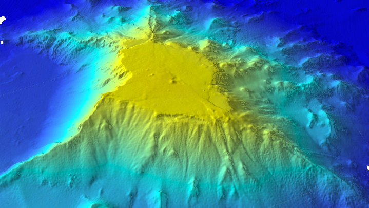 Guyots: Intriguing Flat-topped Seamounts that Host a Diversity of Habitats for Deepwater Animals