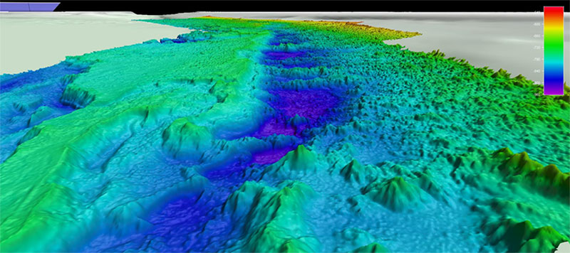 High-resolution multibeam bathymetry collected by NOAA Ship Okeanos Explorer showing the topography of the Stetson North region.