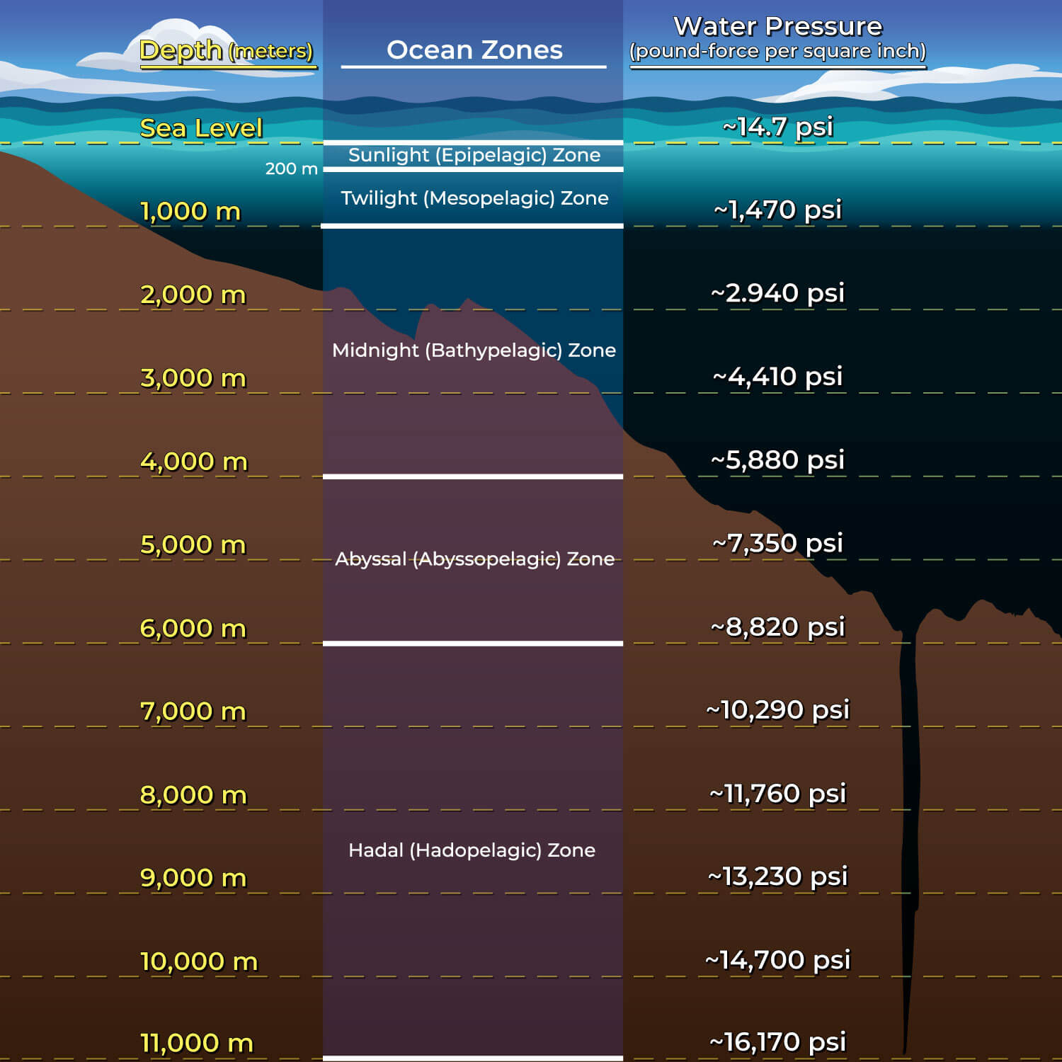 The water column of the open ocean is divided into five zones from the surface to the seafloor. Each zone varies in pressure, light, temperature, oxygen concentration, nutrients, and biological diversity.