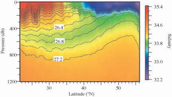 Salinity along the North Pacific