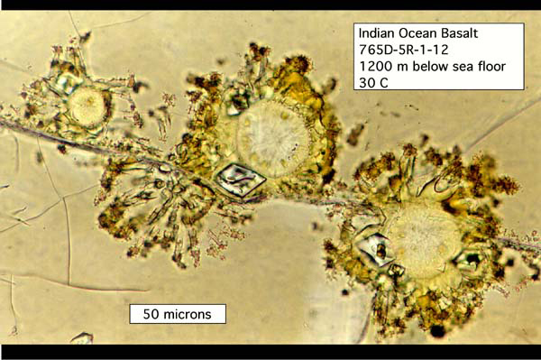 Indian Ocean Basalt