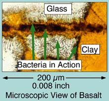Microscopic View of Basalt