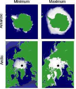 Seasonal variation in the extent of polar sea ice.