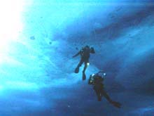 Photo of two divers under the ice
