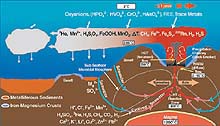 Diagram of chemical exchange between the ocean crust and seawater