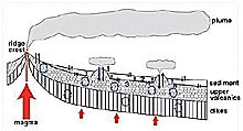 Schematic diagram illustrating hydrothermal circulation