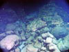 Pillow lavas and breccia.