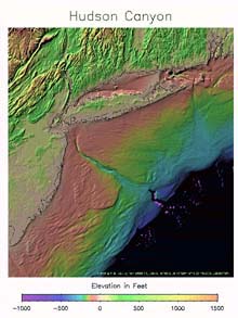 An elevation model of the Hudson Submarine Canyon.