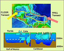 general current flow of the Gulf of Mexico and Caribbean