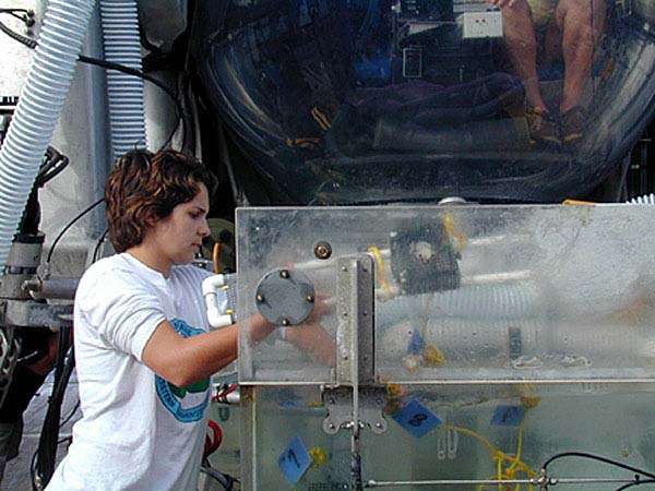 mussel predation trays into the Biobox on the Johnson-Sea-Link submersible