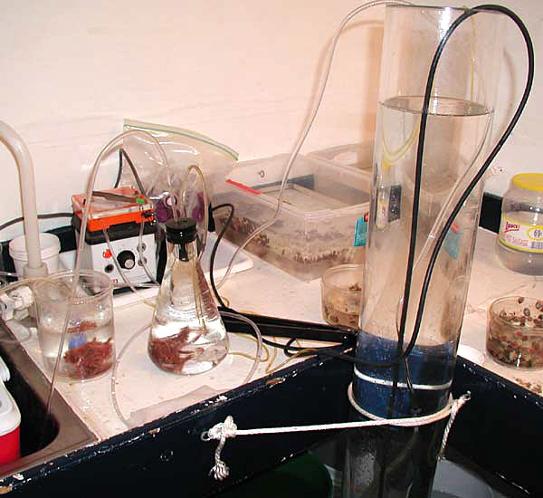 set up used to test the effect of hypoxia