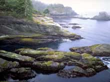 Cape Flattery