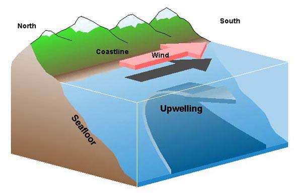 Cartoon Upwelling