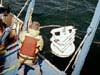 ROV depressor weight