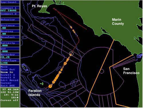 Transect map