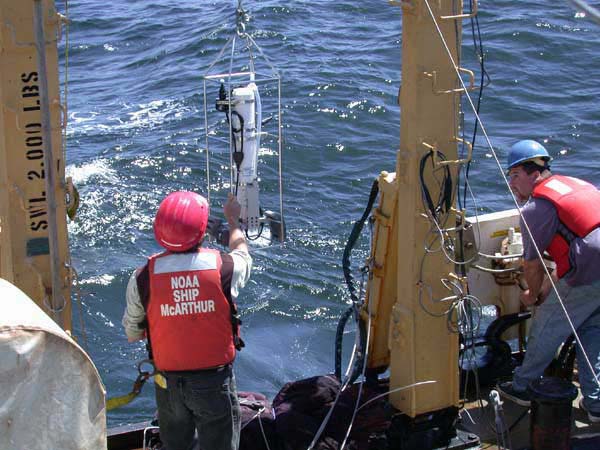 Launching the Seacat