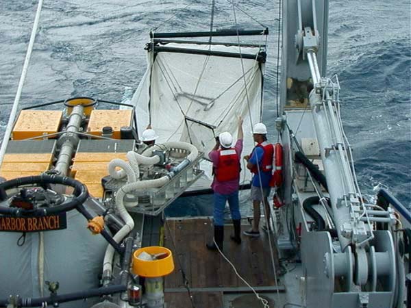 
A crew deploying a Tucker trawl for an early evening sample.