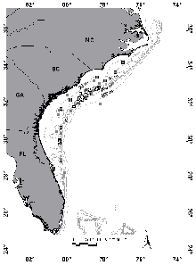 Locations of capture of scamp during the spawning season