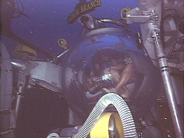 Identifying fish from a submersible