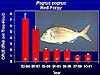 Graph indicating declines in abundance for most species of reef fish.
