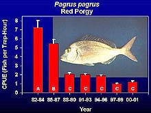 graph of catch per unit for red porgy