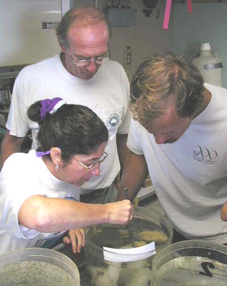 Scientists look at the samples collected during submersible's dive
