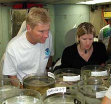 examining newly-collected samples