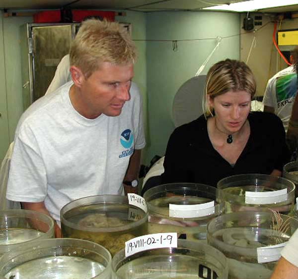 examining newly-collected samples