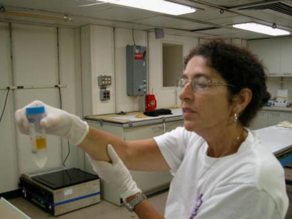 Dr. Shirley Pomponi isolating pure Forcepia cells for culture