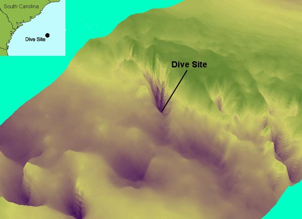 Scientists used multibeam bathymetric data to create a 3D view of a portion of the Charleston Bump.