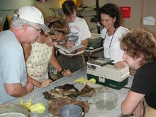 Scientists Kids at Sea view the latest sample from 1400ft